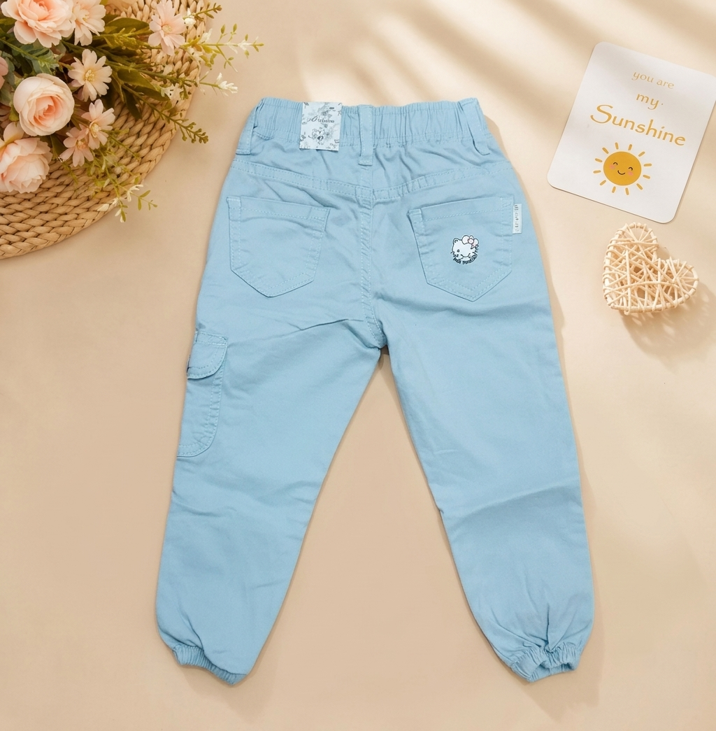 Sunny Cargo Light Blue Pants -1877